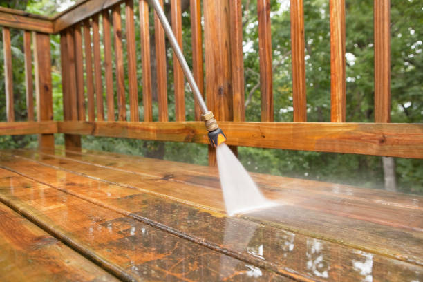 Best Pool Deck Cleaning  in La Marque, TX
