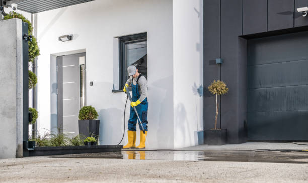 Best Warehouse Cleaning  in La Marque, TX